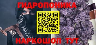прущие грибы Лесосибирск